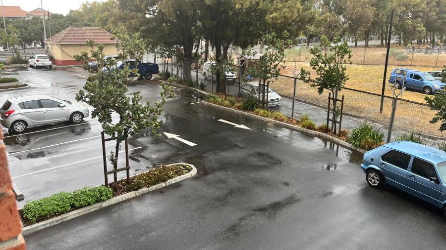 To Let 1 Bedroom Property for Rent in Pinelands Western Cape